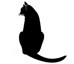 gato-gatinho-gata-gatas-ms89m