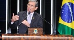 davim tribuna