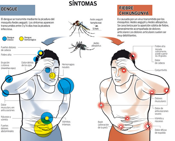 * Brasil enfrentará primeiro verão com dengue e chikungunya.