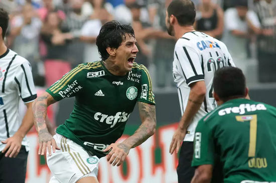 palmeiras