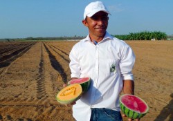 WIDEINILSON_SWEETFRUIT_MISSÃO AGROTEC_FOTOS FRED VERAS (18).Fred_Veras