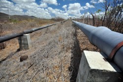 adutora manoel torres