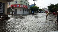 currais3