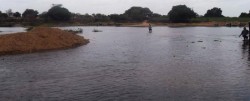 piranhas_rio