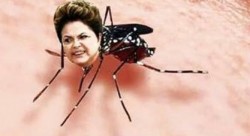 dilma_mosquito