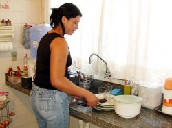 domestica