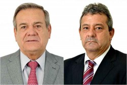 ter galinha