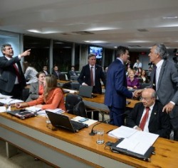 briga
