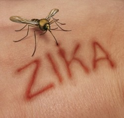 * Brasil mantém emergência nacional em saúde pública por causa da zika.