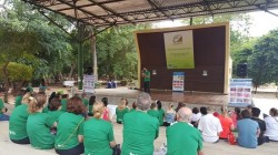 julho_verde
