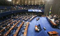 Senado