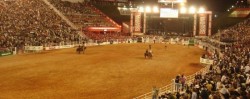 rodeios ricos