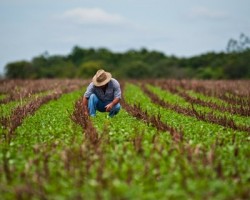 c-m-de-vagos-cria-gabinete-de-apoio-ao-agricultor