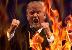 trum fogo
