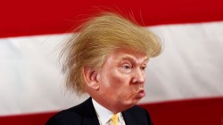 trump feio
