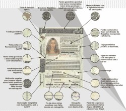 carteira nova