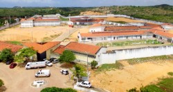 zz-alcaçuz