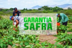 garantiasafra