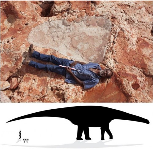 * Cientistas descobrem a maior pegada de dinossauro do mundo.