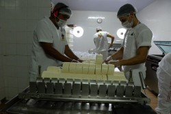 queijo