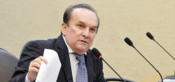 nelter estrada