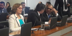 zenaide são francisco