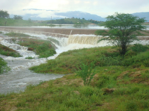 jatobasangrando