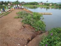 tororo