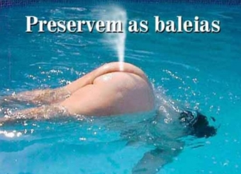 baleia