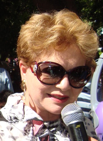 wilmacandidato