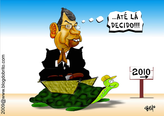 garibaldi o tartaruga