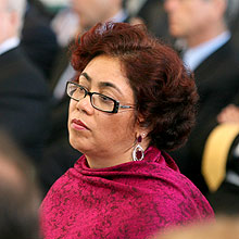 Erenice Guerra