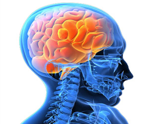 saude mental Parelhas sediará a I Conferência Inter-Regional de Saúde Mental