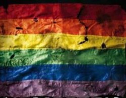 a homofobia