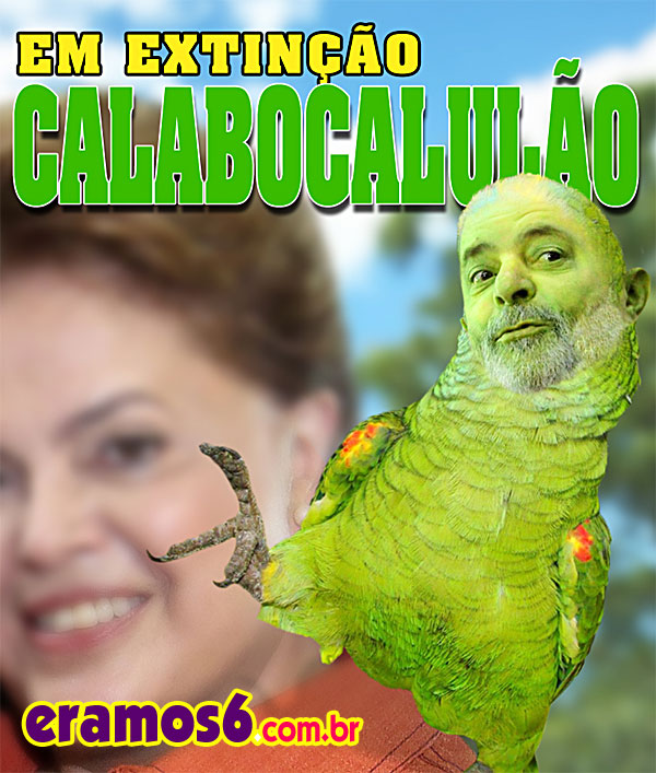 lula papagaio