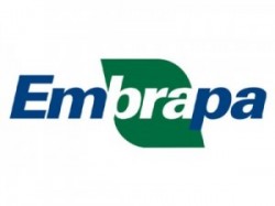 embrapa Parte dos trabalhadores da Embrapa entra em greve a partir de hoje