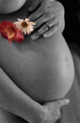 mulher-gravida Licença-maternidade de seis meses está emperrada na Câmara
