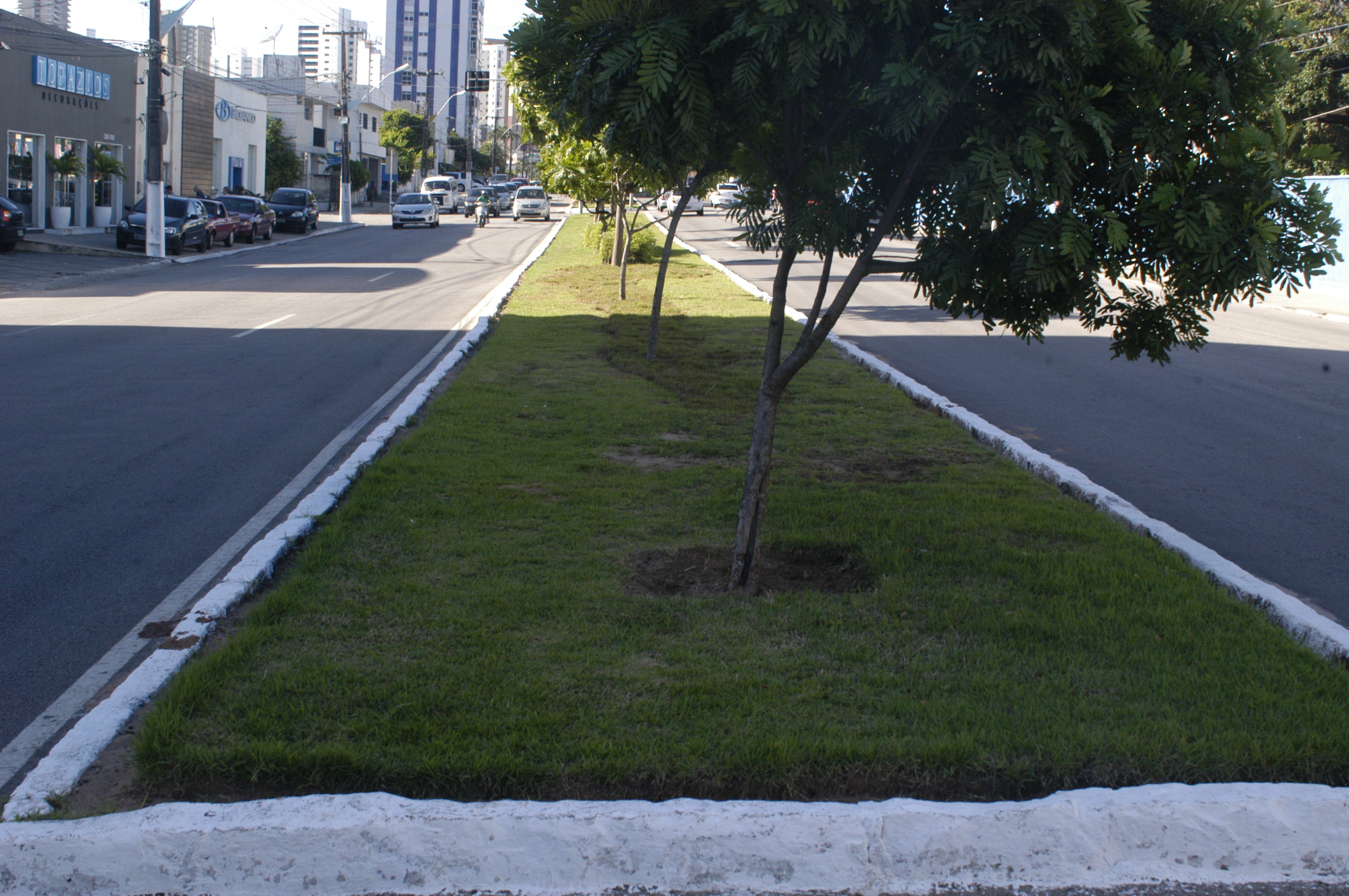 grama replantada dois Grama do Machadão é replantada nos canteiros da Hermes da Fonseca