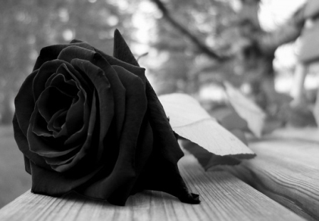 LUTO3 Luto: Morre matriarca da famÃlia Gregório