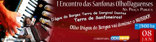 encontro das sanfonas