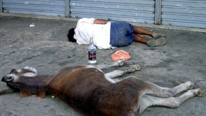 Especialista ensina como não ser derrubado pela cachaça no Carnaval