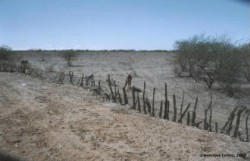 seca semiarido