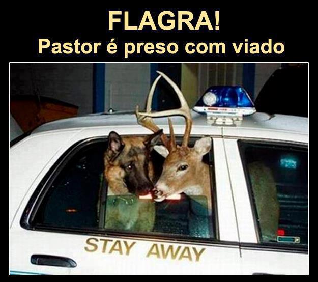 Pastor Ã© preso com veado. rsrsrsr...