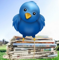 twitter news Twitter é rede social preferida de jornalistas
