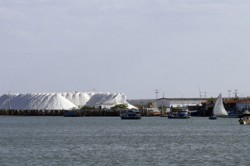 salineiro