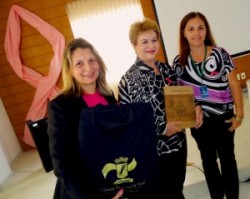 OUTUBRO-ROSA-CMN-300x239 Câmara Municipal promove evento em prol do Outubro Rosa