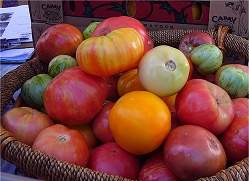 tomates-organicos