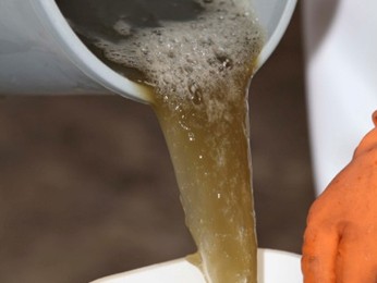 caldo_de_cana-de-acucar_usado_na_fabricacao_da_cerveja