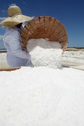 flor-de-sal-capa Salina do RN é destaque no Estadão