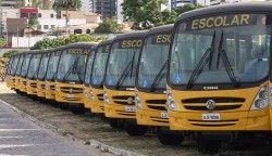onibus governo